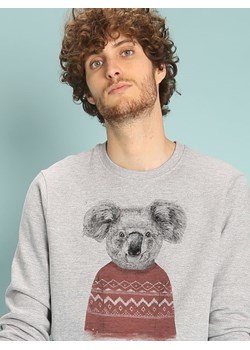 WOOOP Bluza &quot;Winter Koala&quot; w kolorze szarym ze sklepu Limango Polska w kategorii Bluzy męskie - zdjęcie 181963160