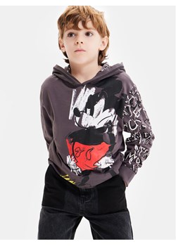 Desigual Bluza 23WBTK04 Szary Regular Fit - id: 0000303232009 - marki Desigual - 182629182 Desigual Bluza 23WBTK04 Szary Regular Fit ze sklepu MODIVO w kategorii Bluzy chłopięce - zdjęcie 182629182