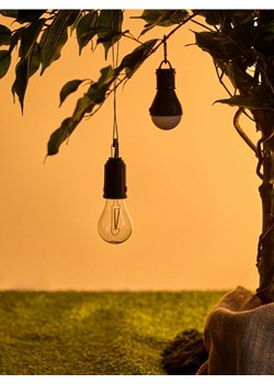 Sinsay - Lampa w kształcie żarówki z haczykiem - czarny ze sklepu Sinsay w kategorii Lampiony i lampki - zdjęcie 183638191