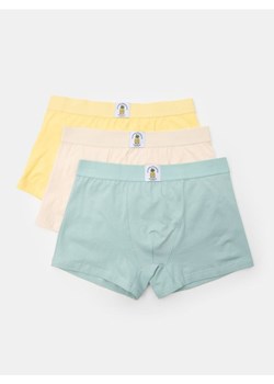 Sinsay - Bokserki Classic z ozdobną owocową naszywką 3 pack - wielobarwny ze sklepu Sinsay w kategorii Majtki męskie - zdjęcie 183672262