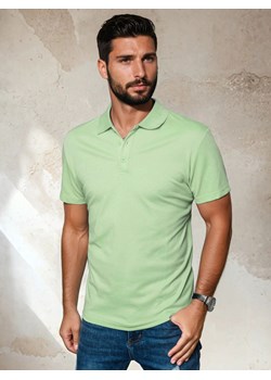 Koszulka polo męska zielona Dstreet PX0554 ze sklepu DSTREET.PL w kategorii T-shirty męskie - zdjęcie 183723322