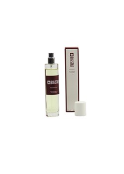 Perfumy damskie, woda perfumowana BIG STAR Harmony - Eau de Parfum ze sklepu ulubioneobuwie w kategorii Perfumy damskie - zdjęcie 183854073