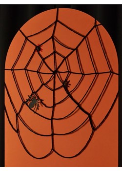 Sinsay - Dekoracja na Halloween pajęczyna - czarny ze sklepu Sinsay w kategorii Zabawki - zdjęcie 183859524