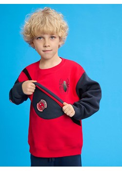 COOL CLUB Bluza w kolorze czerwono-granatowym ze sklepu Limango Polska w kategorii Bluzy chłopięce - zdjęcie 183871044