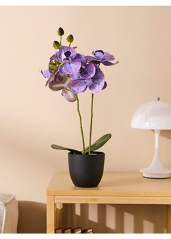 Sinsay - Roślina ozdobna - fioletowy ze sklepu Sinsay w kategorii Dekoracje - zdjęcie 183891993