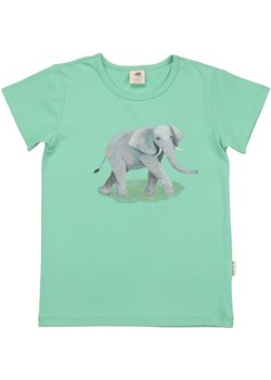 Walkiddy Koszulka w kolorze zielonym ze sklepu Limango Polska w kategorii T-shirty chłopięce - zdjęcie 183901562