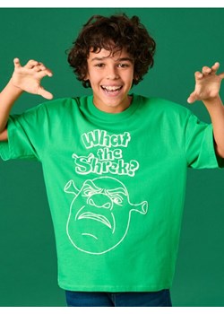 Sinsay - Koszulka Shrek - zielony ze sklepu Sinsay w kategorii T-shirty chłopięce - zdjęcie 183916383