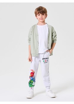Sinsay - Spodnie dresowe Ninjago - szary ze sklepu Sinsay w kategorii Spodnie chłopięce - zdjęcie 183937084