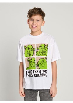 Sinsay - Koszulka Shrek - biały ze sklepu Sinsay w kategorii T-shirty chłopięce - zdjęcie 183937184