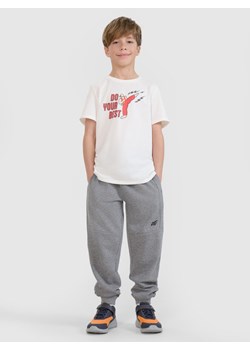 Chłopięce spodnie dresowe joggery 4F 4FJRSS25TTROM1369 - szare ze sklepu Sportstylestory.com w kategorii Spodnie chłopięce - zdjęcie 184006240