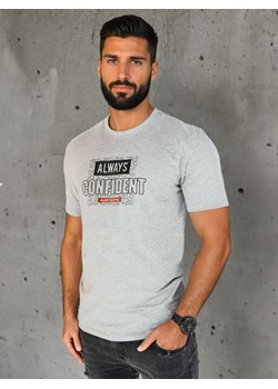 Koszulka męska z nadrukiem szara Dstreet RX5406 ze sklepu DSTREET.PL w kategorii T-shirty męskie - zdjęcie 184037114