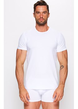 Koszulka męska t-shirt z krótkim rękawem biały 01/9-82/2, Kolor biały, Rozmiar L, Fabio Undercare ze sklepu Primodo w kategorii T-shirty męskie - zdjęcie 184067762