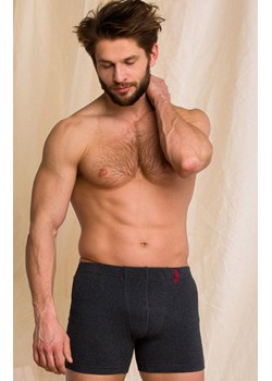 Key Hot touch bokserki męskie szare MXM 155 SZ, Kolor szary, Rozmiar L, Key ze sklepu Intymna w kategorii Majtki męskie - zdjęcie 184131431