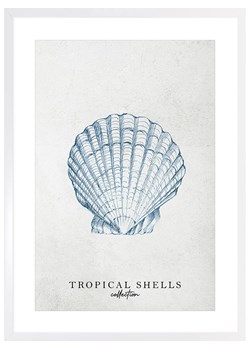 Ars Longa Druk artystyczny &quot;Tropical shell collection no. 2&quot; w ramce - 70 x 50 cm ze sklepu Limango Polska w kategorii Obrazy - zdjęcie 184166230