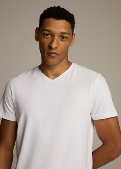 Koszulka V NECK 253 OTL - id: 10047321-023 - marki Diverse - 184181294 Koszulka V NECK 253 OTL ze sklepu Diverse w kategorii T-shirty męskie - zdjęcie 184181294