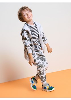 Sinsay - Bluza dresowa z kapturem w dinozaury - szary ze sklepu Sinsay w kategorii Bluzy chłopięce - zdjęcie 184184062