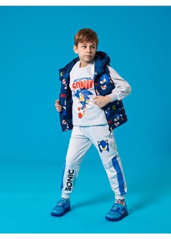 Sinsay - Bluza Sonic The Hedgehog - szary ze sklepu Sinsay w kategorii Bluzy chłopięce - zdjęcie 184190580