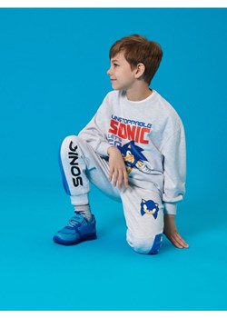 Sinsay - Spodnie dresowe ze ściągaczami Sonic the Hedgehog: Modern - szary ze sklepu Sinsay w kategorii Spodnie chłopięce - zdjęcie 184190881