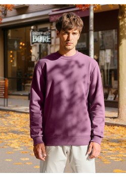 Sinsay - Bluza z długimi rękawami - fioletowy ze sklepu Sinsay w kategorii Bluzy męskie - zdjęcie 184190954