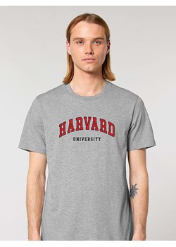 American Universities Koszulka &quot;Havard University&quot; w kolorze szarym ze sklepu Limango Polska w kategorii T-shirty męskie - zdjęcie 184217294