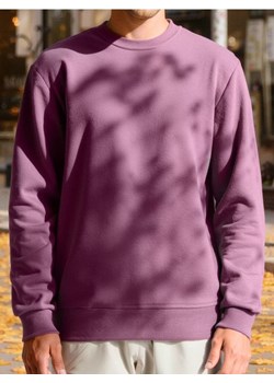 Sinsay - Bluza z długimi rękawami - fioletowy ze sklepu Sinsay w kategorii Bluzy męskie - zdjęcie 184290340