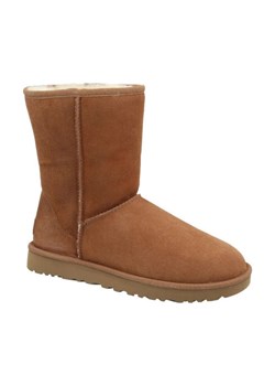 UGG Skórzane śniegowce W Classic Short II | z dodatkiem wełny ze sklepu Gomez Fashion Store w kategorii Śniegowce damskie - zdjęcie 184311504