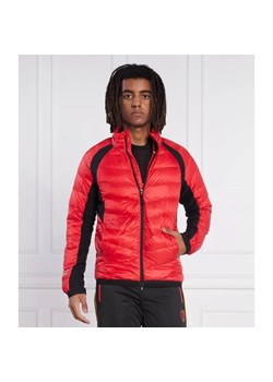 EA7 Kurtka | Regular Fit ze sklepu Gomez Fashion Store w kategorii Kurtki męskie - zdjęcie 184324390