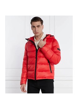 Peuterey Puchowa kurtka | Regular Fit ze sklepu Gomez Fashion Store w kategorii Kurtki męskie - zdjęcie 184350790
