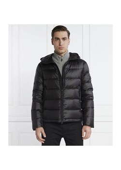 Peuterey Puchowa kurtka | Regular Fit ze sklepu Gomez Fashion Store w kategorii Kurtki męskie - zdjęcie 184350923