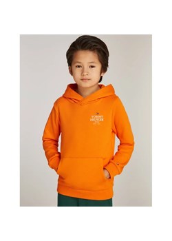 Tommy Hilfiger Bluza | Regular Fit ze sklepu Gomez Fashion Store w kategorii Bluzy chłopięce - zdjęcie 184509570