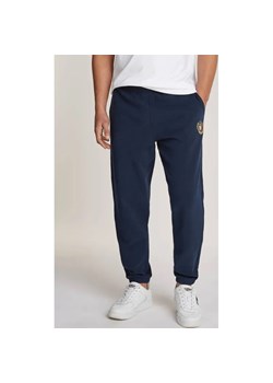 Tommy Jeans Spodnie dresowe Crest | Regular Fit ze sklepu Gomez Fashion Store w kategorii Spodnie męskie - zdjęcie 184511451