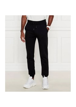 Iceberg Spodnie dresowe | Regular Fit ze sklepu Gomez Fashion Store w kategorii Spodnie męskie - zdjęcie 184516061