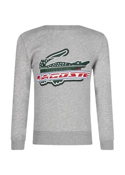Lacoste Bluza | Regular Fit ze sklepu Gomez Fashion Store w kategorii Bluzy chłopięce - zdjęcie 184516131