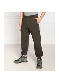 Replay Spodnie dresowe | Regular Fit ze sklepu Gomez Fashion Store w kategorii Spodnie męskie - zdjęcie 184518242