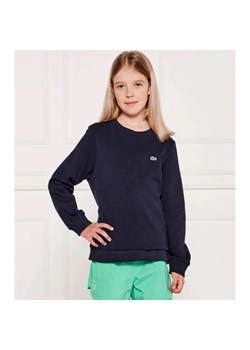 Lacoste Bluza | Regular Fit ze sklepu Gomez Fashion Store w kategorii Bluzy dziewczęce - zdjęcie 184519814