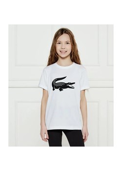 Lacoste T-shirt | Regular Fit ze sklepu Gomez Fashion Store w kategorii Bluzki dziewczęce - zdjęcie 184521222