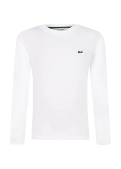 Lacoste Longsleeve | Regular Fit ze sklepu Gomez Fashion Store w kategorii T-shirty chłopięce - zdjęcie 184522382