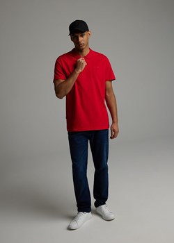 Klasyczna koszulka polo z krótkim rękawem ze sklepu Diverse w kategorii T-shirty męskie - zdjęcie 184552503