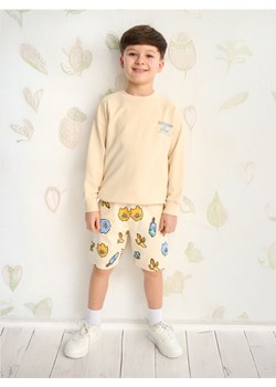 Sinsay - Bluza - kremowy ze sklepu Sinsay w kategorii Bluzy chłopięce - zdjęcie 184637213