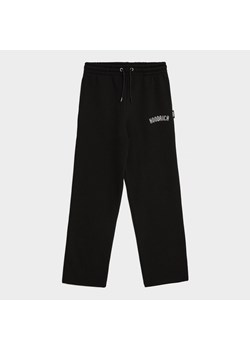 HOODRICH SPODNIE CHROME PNT BLK ze sklepu JD Sports  w kategorii Spodnie chłopięce - zdjęcie 184647320