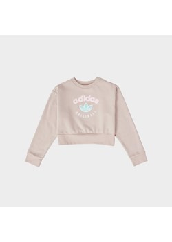 ADIDAS BLUZA (G)LOGO CRP CREW BEIGE G ze sklepu JD Sports  w kategorii Bluzy dziewczęce - zdjęcie 184655010