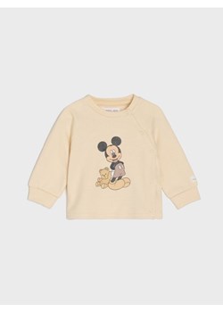 Sinsay - Bluza z polarem w środku Mickey Mouse - kremowy ze sklepu Sinsay w kategorii Odzież dla niemowląt - zdjęcie 184662834