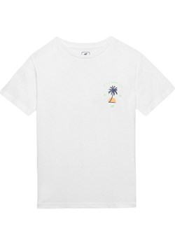 Koszulka chłopięca 4FJWSS24TTSHM1130 4F ze sklepu SPORT-SHOP.pl w kategorii T-shirty chłopięce - zdjęcie 184698634