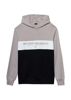 Bluza męska 4FWSS24TSWSM1032 4F ze sklepu SPORT-SHOP.pl w kategorii Bluzy męskie - zdjęcie 184701021