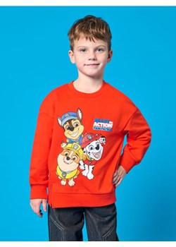 Sinsay - Bluza z ozdobnym rozcięciem Psi Patrol - różowy ze sklepu Sinsay w kategorii Bluzy chłopięce - zdjęcie 184720530