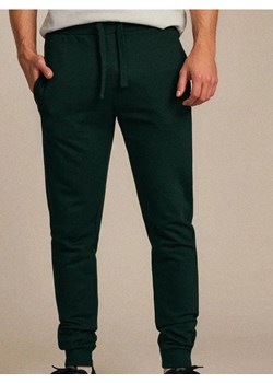 Sinsay - Spodnie jogger - zielony ze sklepu Sinsay w kategorii Spodnie męskie - zdjęcie 184809984
