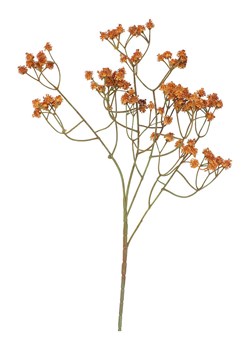 Homla Dekoracyjna gałązka &quot;Cladel&quot; w kolorze pomarańczowym - dł. 24 cm ze sklepu Limango Polska w kategorii Doniczki i osłonki - zdjęcie 184892111
