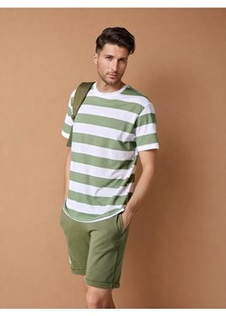 Sinsay - Koszulka - zielony ze sklepu Sinsay w kategorii T-shirty męskie - zdjęcie 184904073