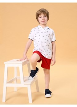 Sinsay - Koszulka polo - biały ze sklepu Sinsay w kategorii T-shirty chłopięce - zdjęcie 184904203