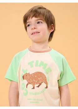 Sinsay - Koszulka z kapibarą - kremowy ze sklepu Sinsay w kategorii T-shirty chłopięce - zdjęcie 184904233